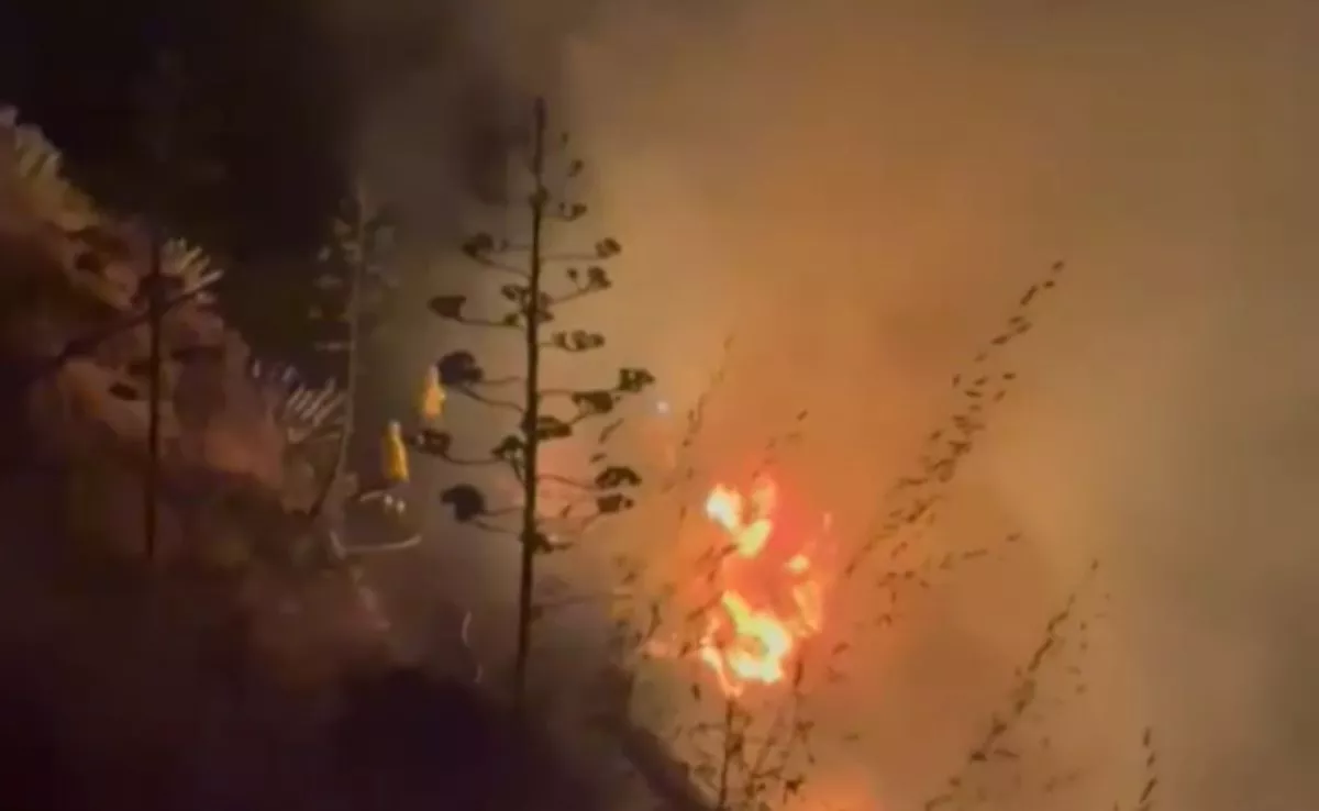 Incendio en Juncalillo, Galdar. /Cedida