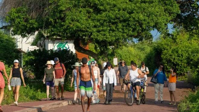 Diseño sin título 2025 07 18T153118.381