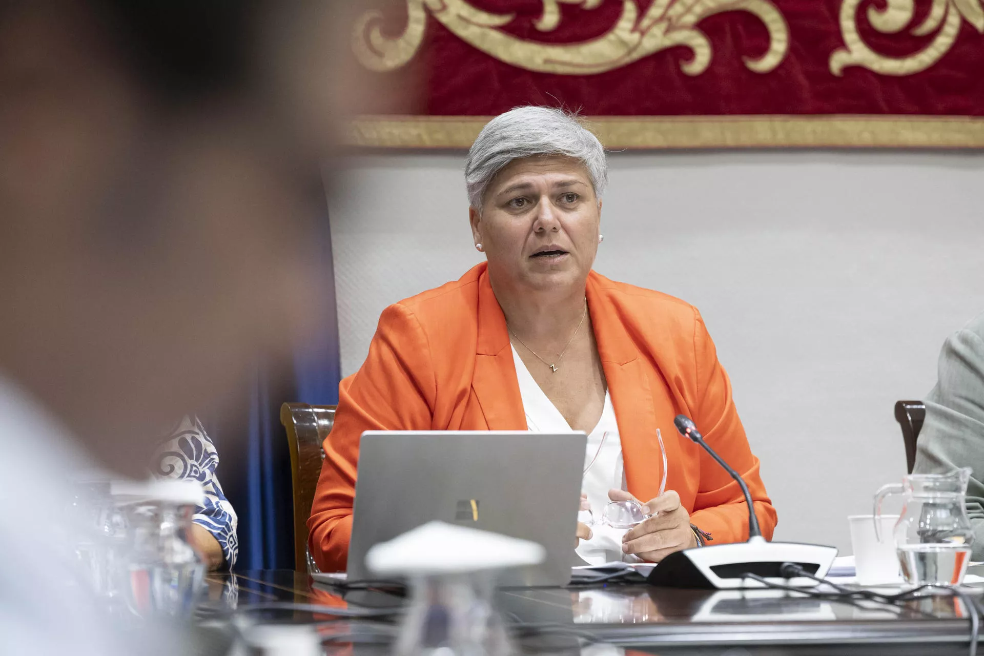 La Comisionada de la Transparencia y Acceso a la información pública, Noelia García Leal, ha comparecido en comisión parlamentaria para dar a conocer el informe anual de cumplimiento de la ley de Transparencia de Canarias en 2024. / MIGUEL BARRETO-EFE