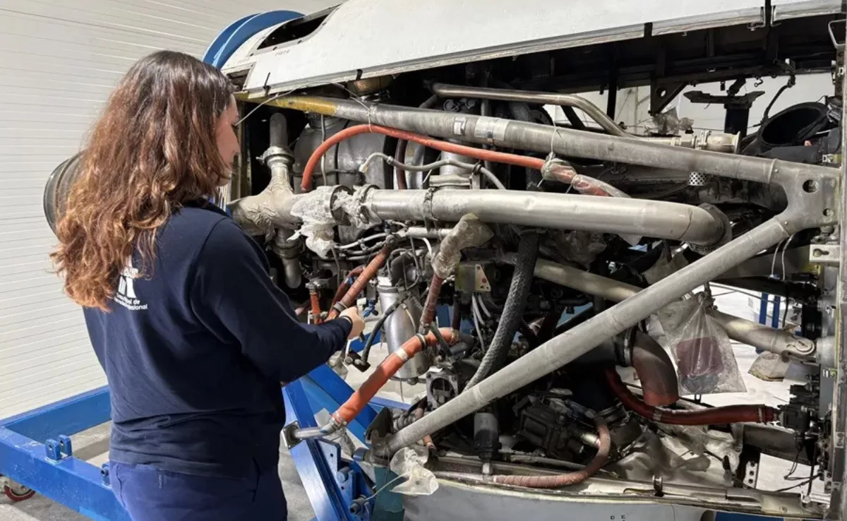 Una joven estudiando una FP / EFE Una joven estudiando una FP / EFE