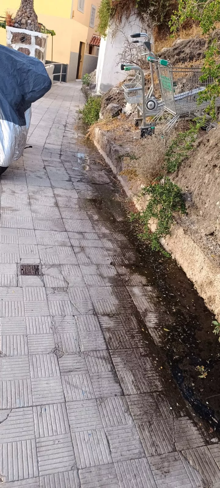 Aguas fecales en la zona de Cueva Roja, en Santa Cruz de Tenerife. / CEDIDA 