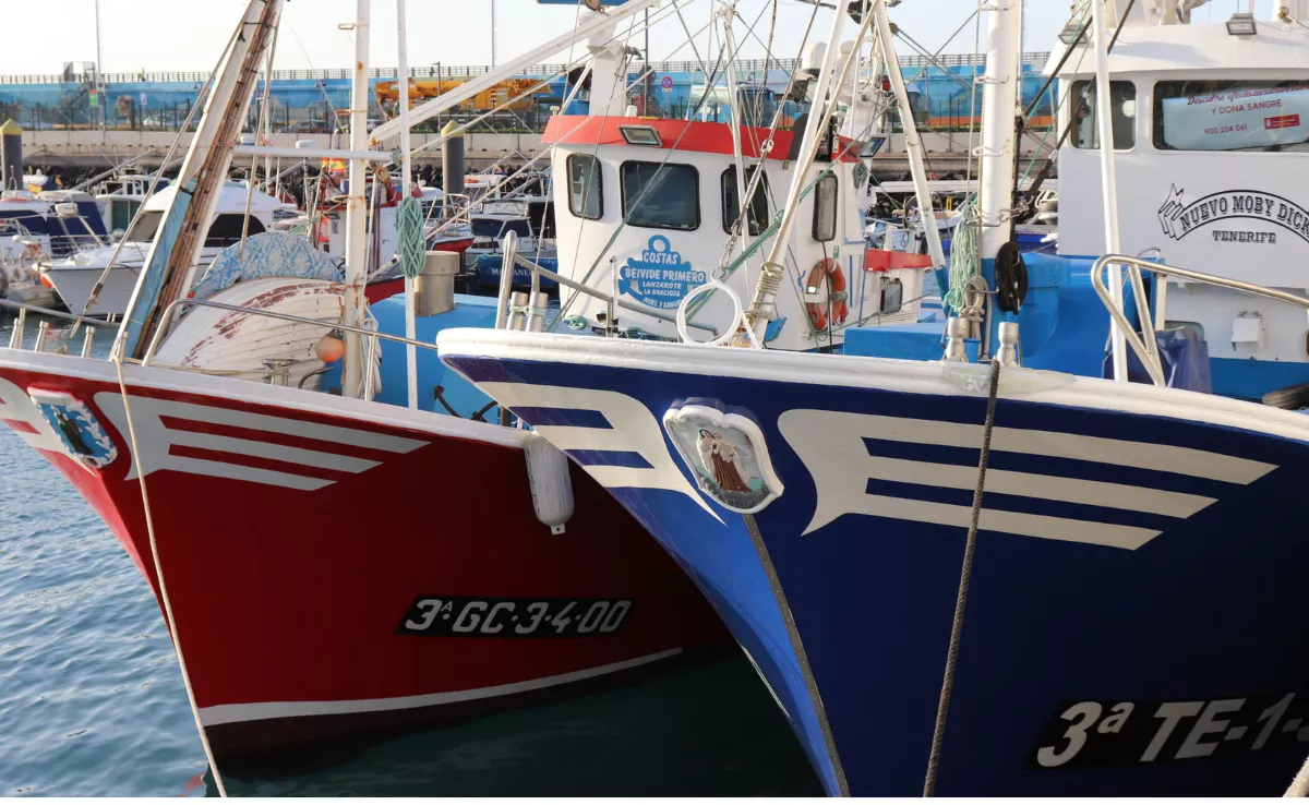 Barcos de pesca artesanal de la flota canaria|GMRCANARIAS