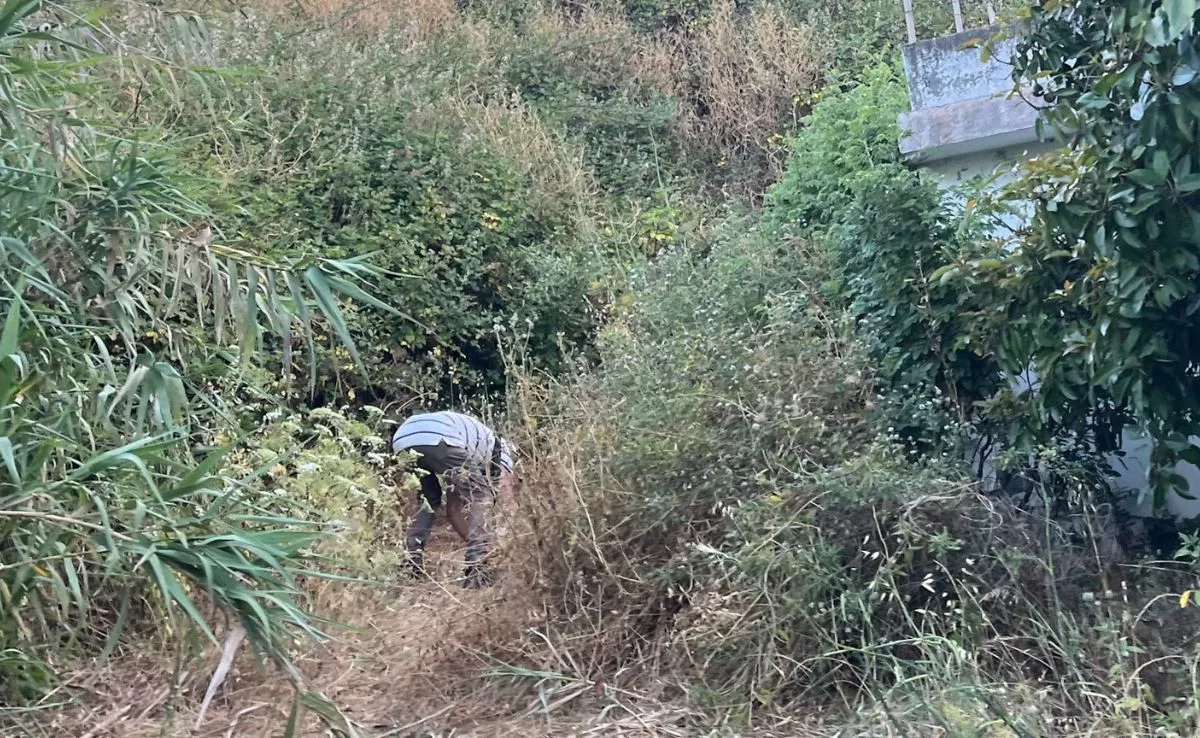 Un hombre agachado e intentando prender fuego a la maleza en el monte de Moya. /Cedida