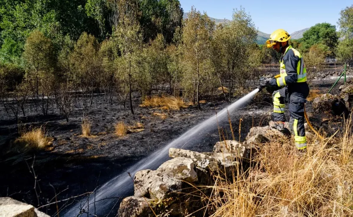 Un bombero trabajando en un incendio forestal / EFE