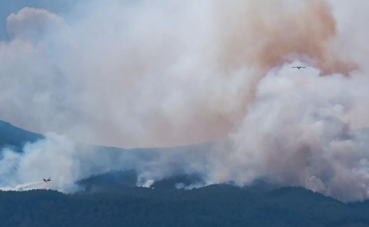 Imagen de un incendio forestal en Canarias / EFE
