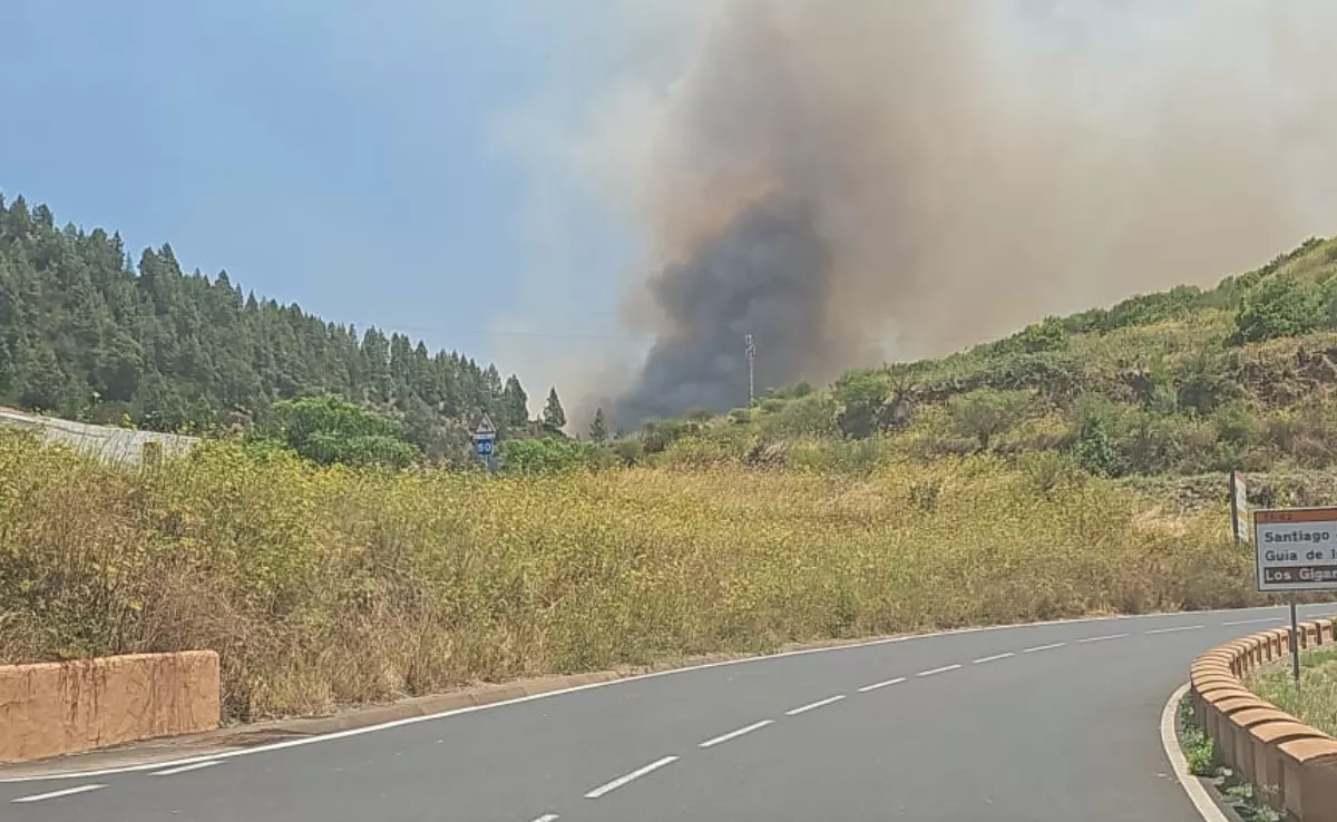 Imagen del incendio entre Santiago del Teide y El Tanque. / IMAGEN DE LA RED