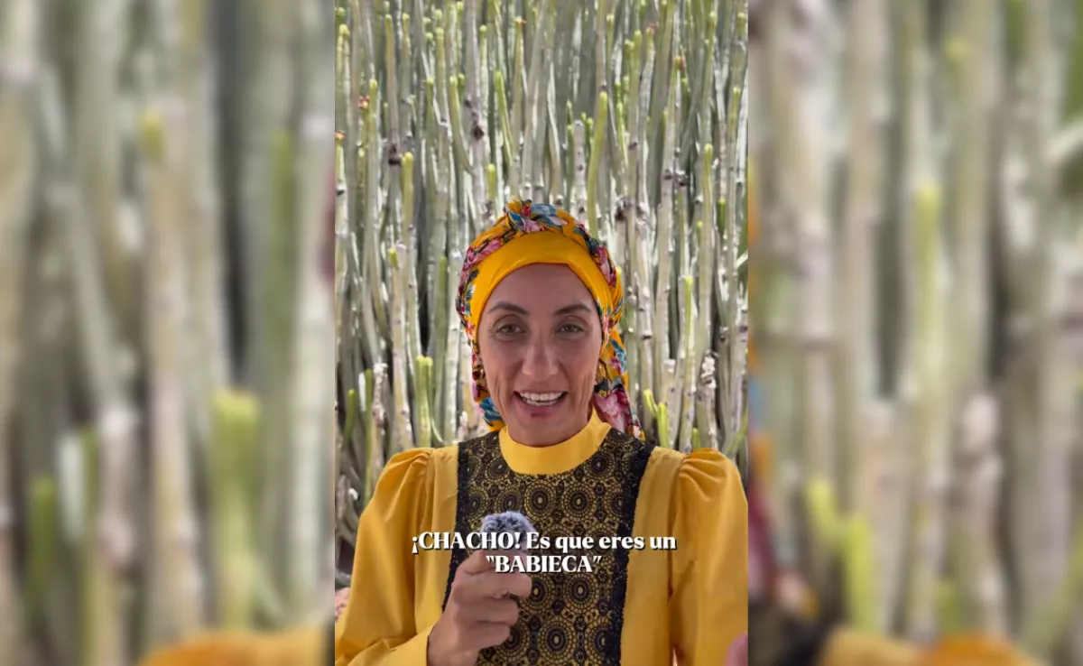 Onalia Bueno explicando el significado de la palabra babieca / CAPTURA