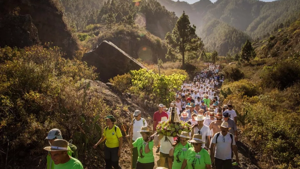 Diseño sin título (50)