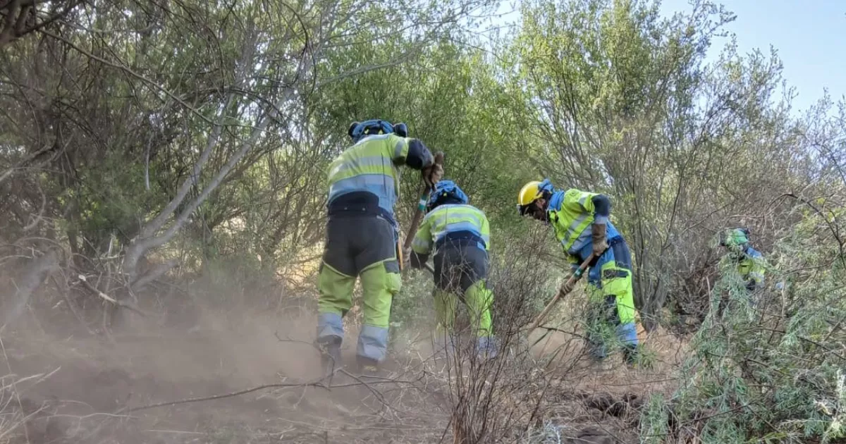 Imagen de bomberos en el lugar del incendio en Tenerife / GOBIERNO DE CANARIAS