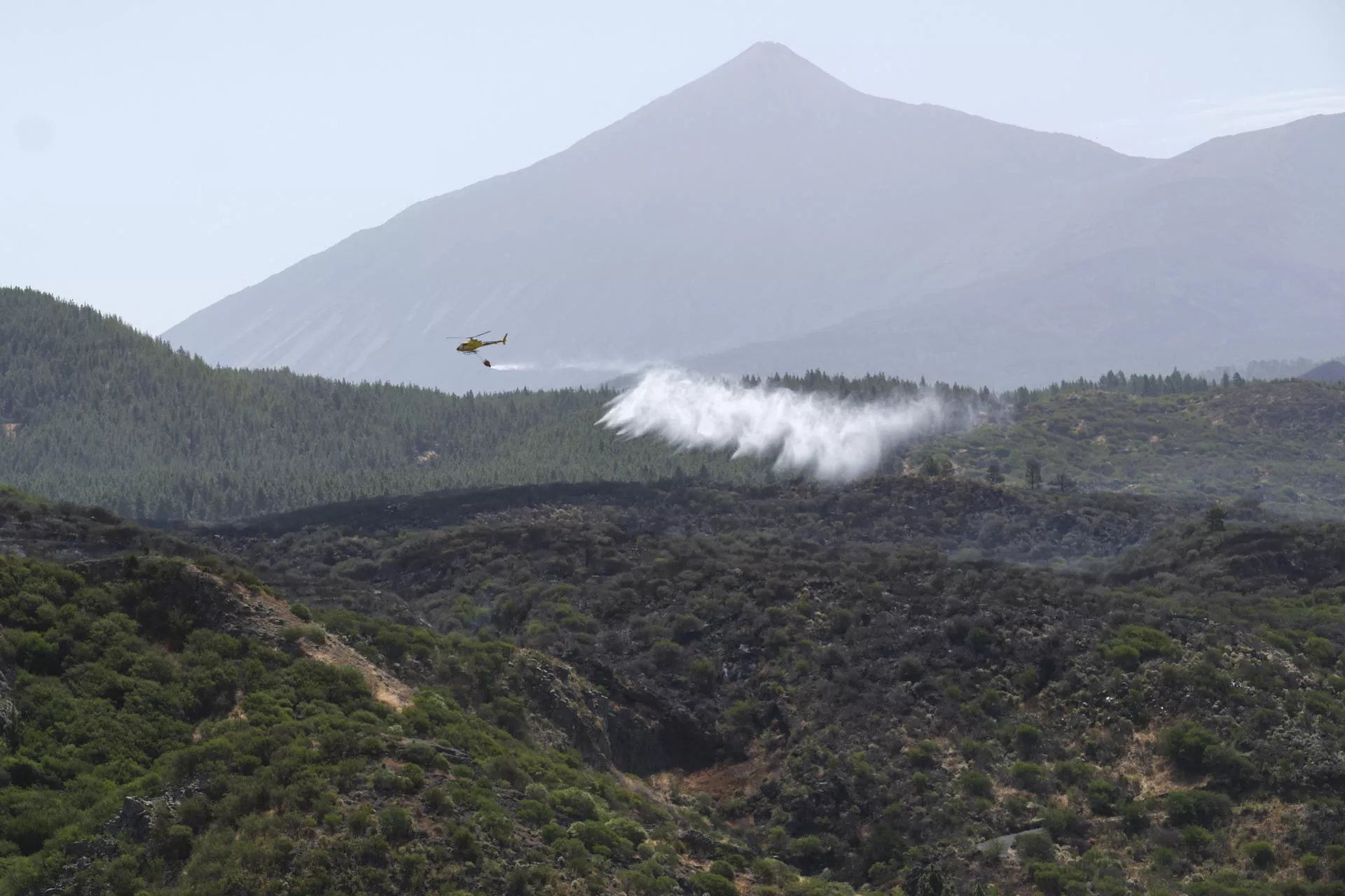 un helicóptero del Ministerio de Transición Ecológica descarga agua sobre la zona afectada, con el Teide al fondo. / EFE - ALBERTO VALDÉS