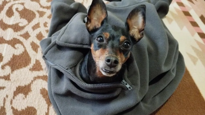 Diseño sin título 2025 07 30T155621.865