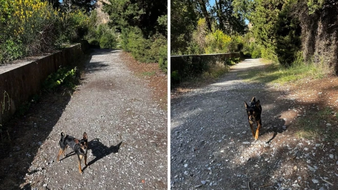 Diseño sin título (1)