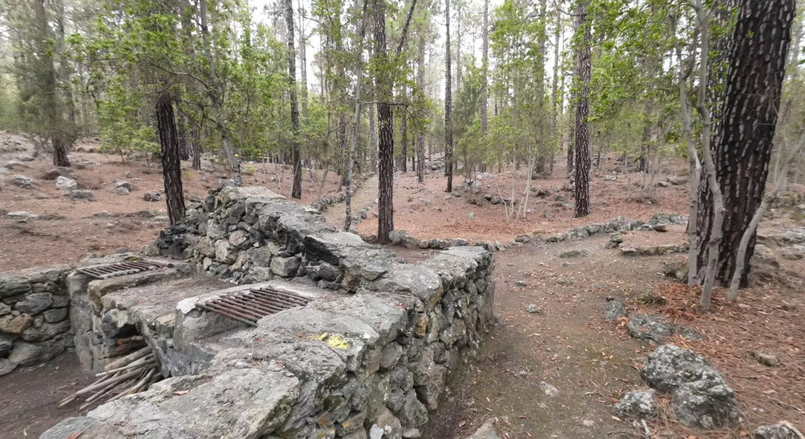 Área Recreativa Las Hayas de Icod de los Vinos. / CABILDO DE TENERIFE