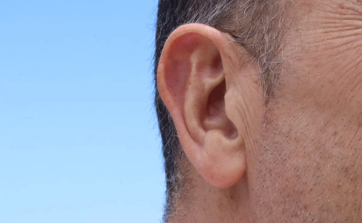 Imagen de la oreja de un hombre. / CANVA