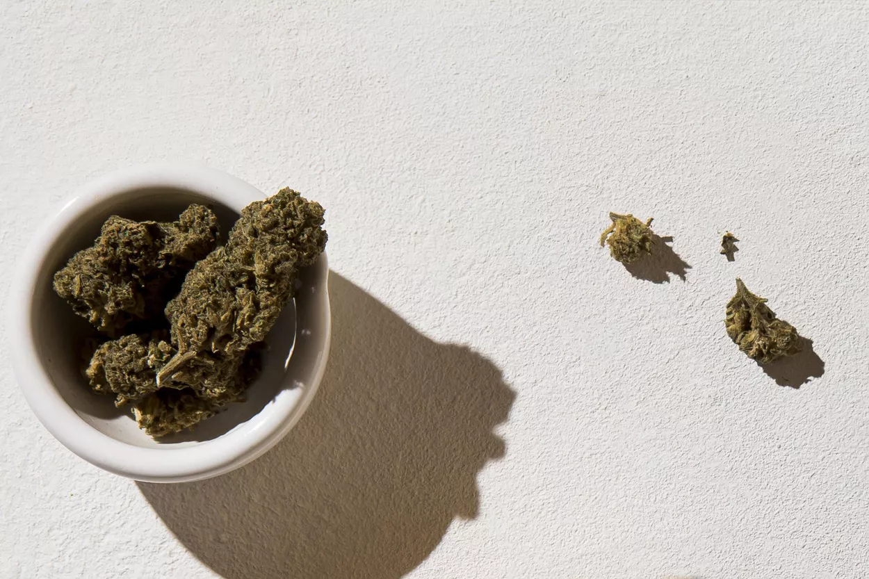 Flores de CBD orgánico / FREEPIK