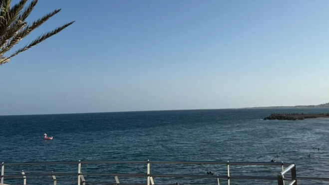 Diseño sin título 30