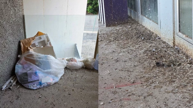 Diseño sin título (38) Diseño sin título (38)