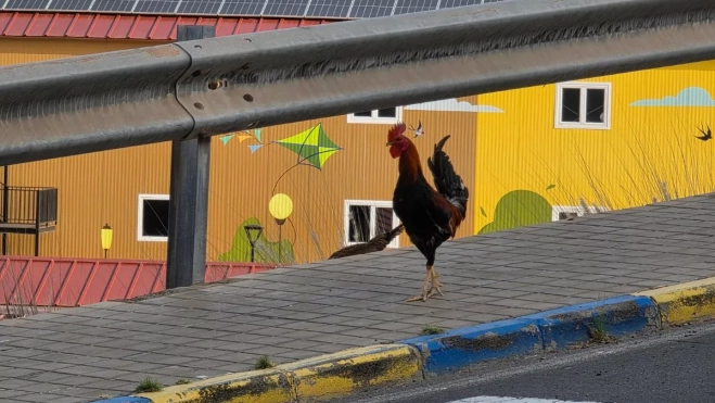 Diseño sin título (39) Diseño sin título (39)