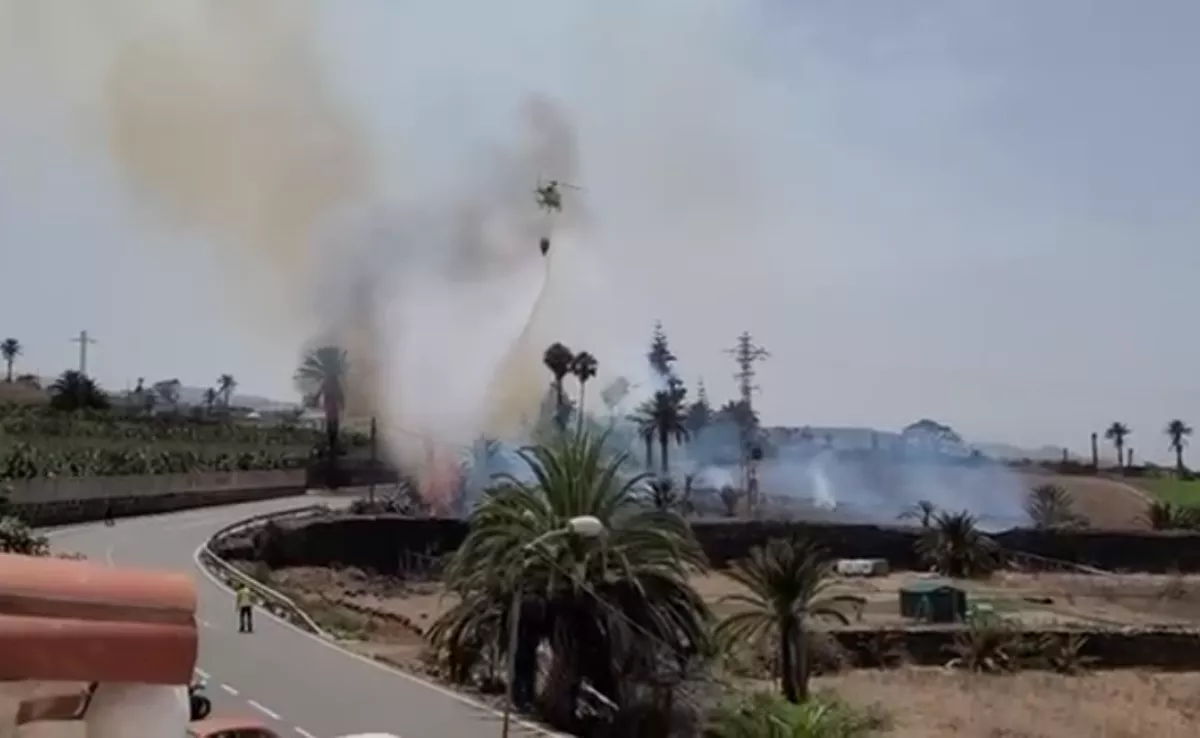 Controlado el conato de incendio que ha quemado 300 metros de pasto en Firgas. / AH