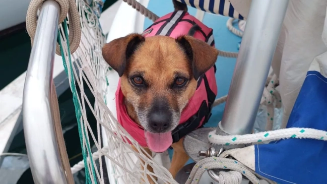 Diseño sin título 2025 08 08T174129.580