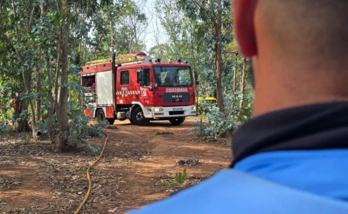 Bomberos extinguiendo el incendio en las Raíces. /Redes