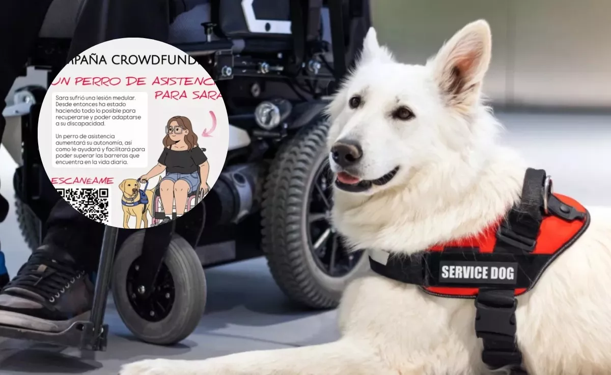 Imagen de un perro de asistencia junto a la campaña de crowdfunding de Sara. / CANVA