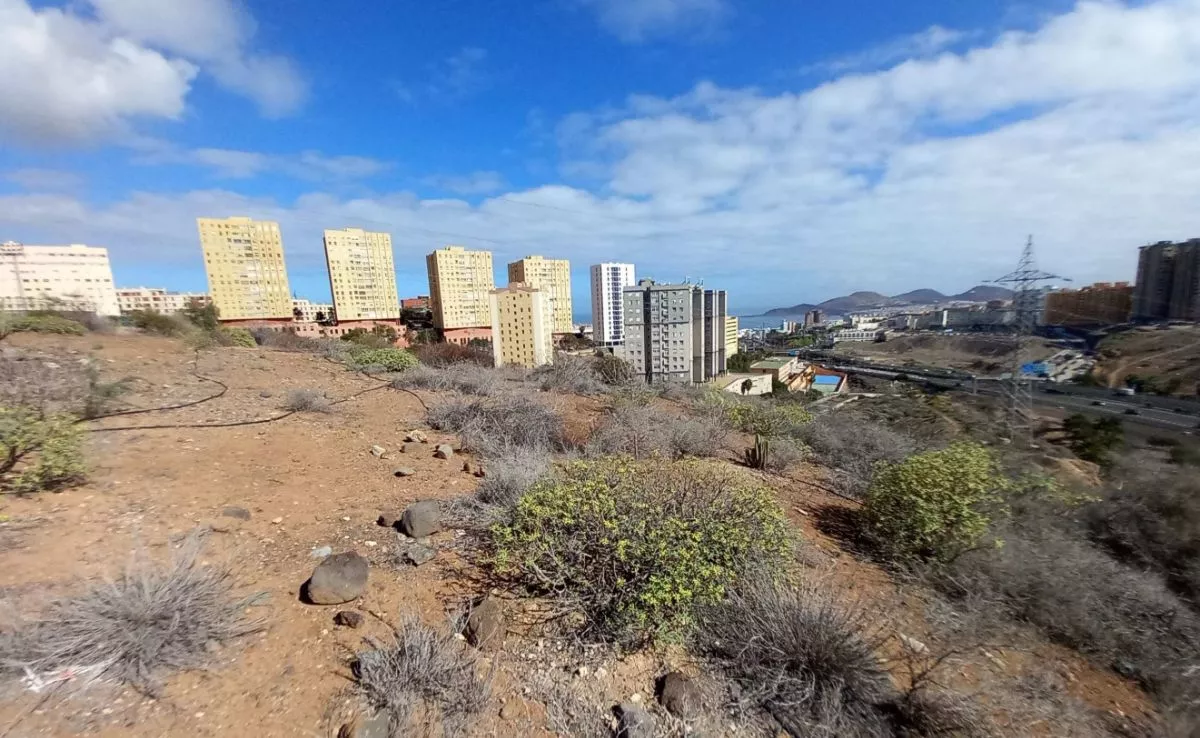 Barranco de La Ballena. /Wikimedia