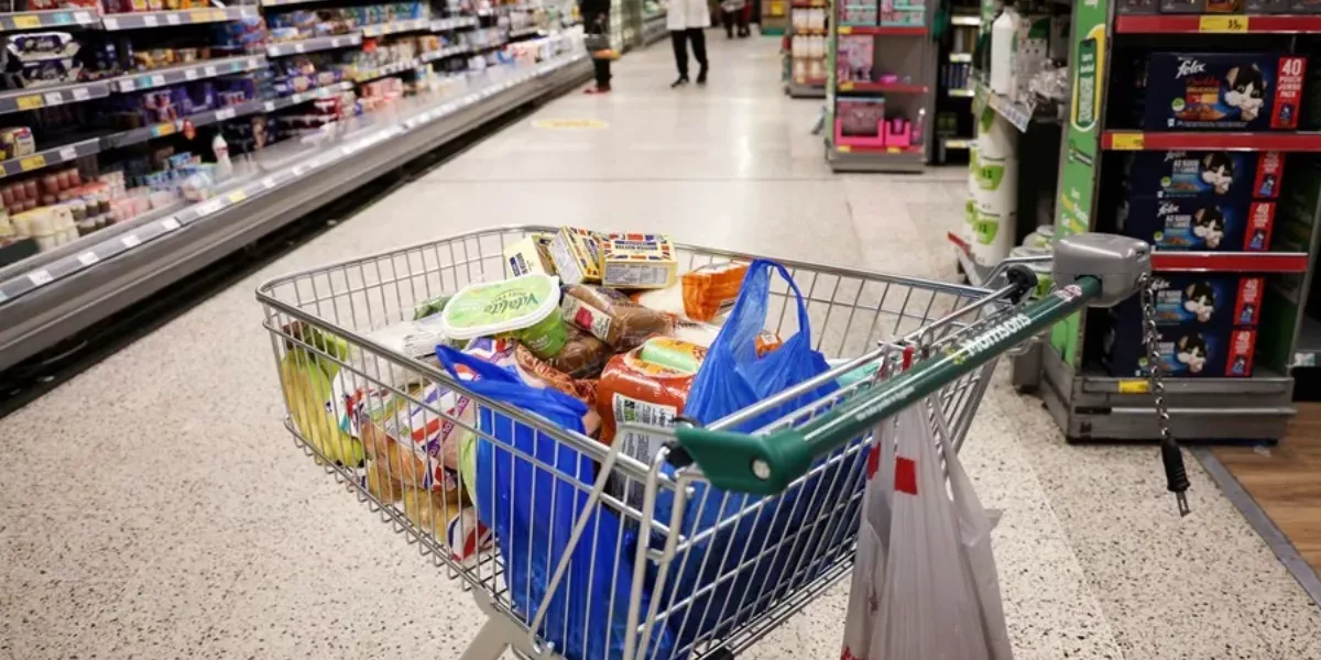 Imagen de un carrito de supermercado lleno de alimentos / EFE