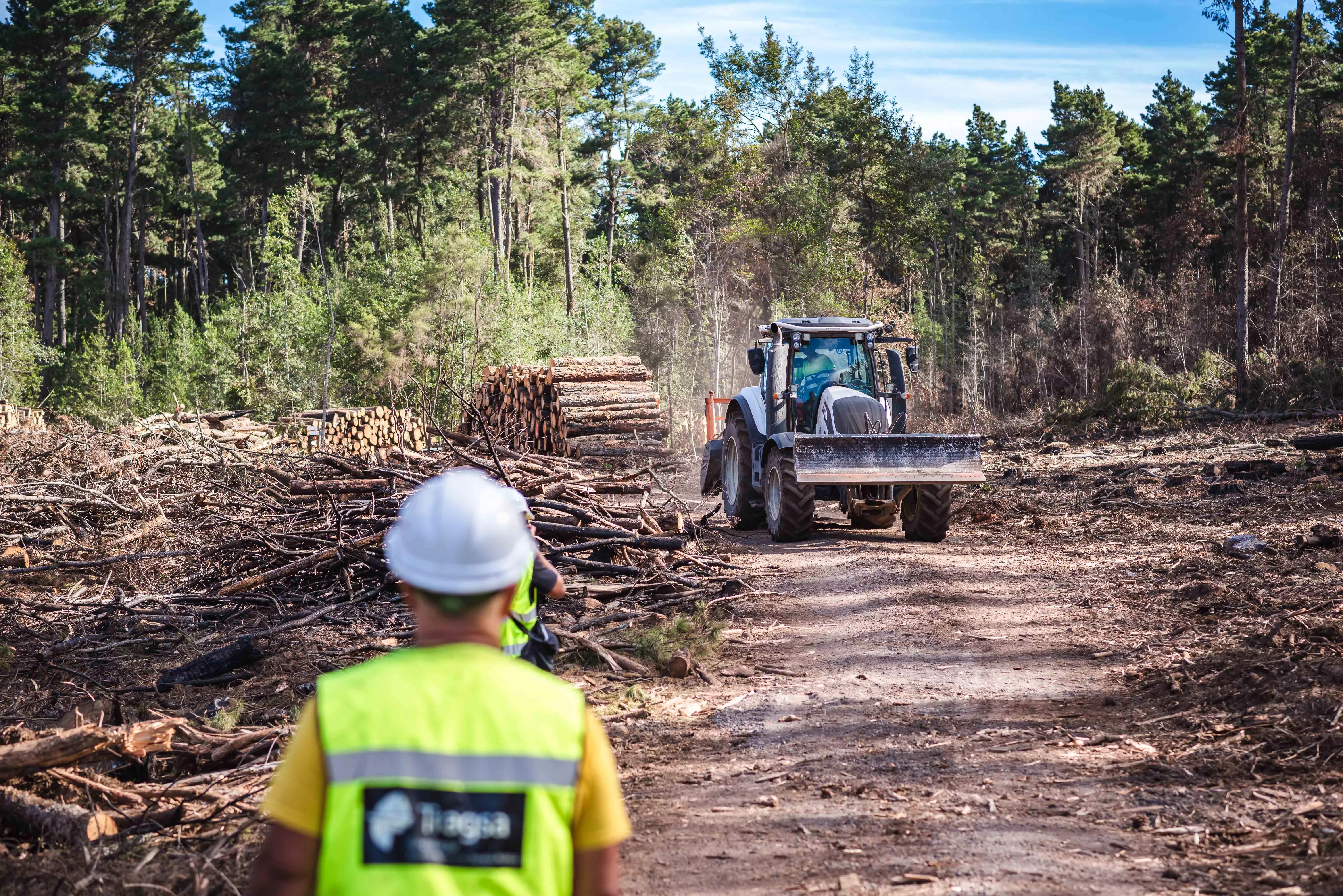 Trabajos recuperación en la zona afectada por el incendio de Tenerife. / CABILDO DE TENERIFE