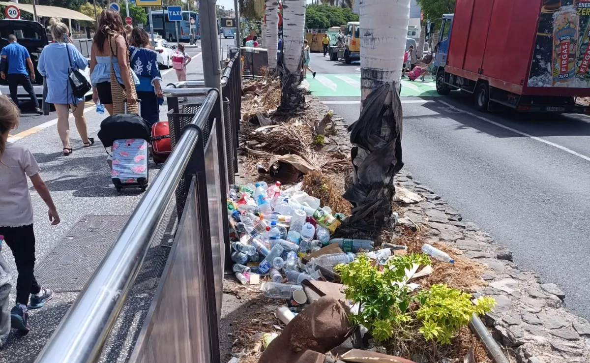 Estado de los jardines este martes en uno de los aeropuertos canarios / CEDIDA