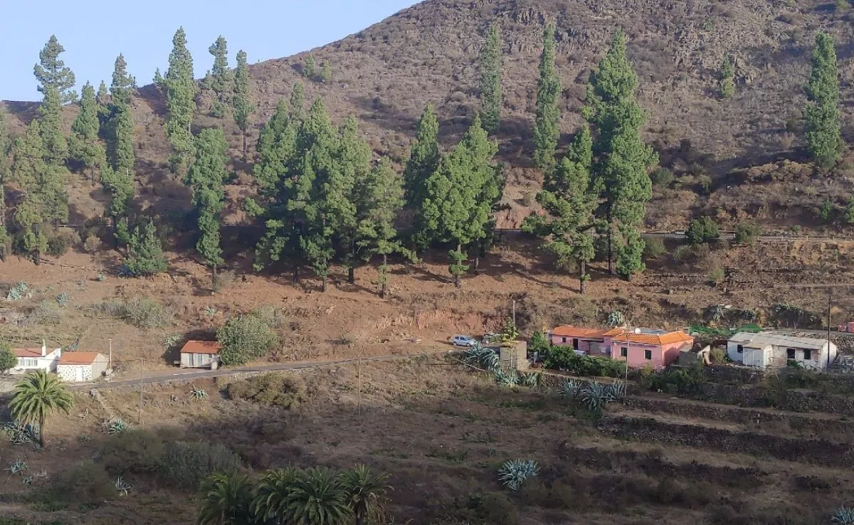  Igualero, Vallehermoso, La Gomera. /Cedida
