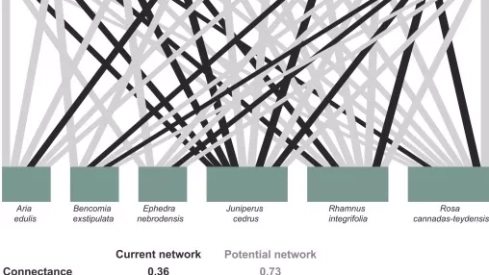 1 s2.0 S2351989425003944 gr3 1 s2.0 S2351989425003944 gr3