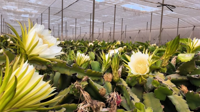 WhatsApp Image 2025 08 23 at 07.02.15