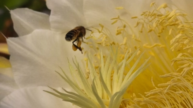 WhatsApp Image 2025 08 23 at 07.59.53