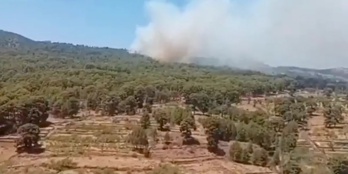 Conato de incendio de El Hierro / 112