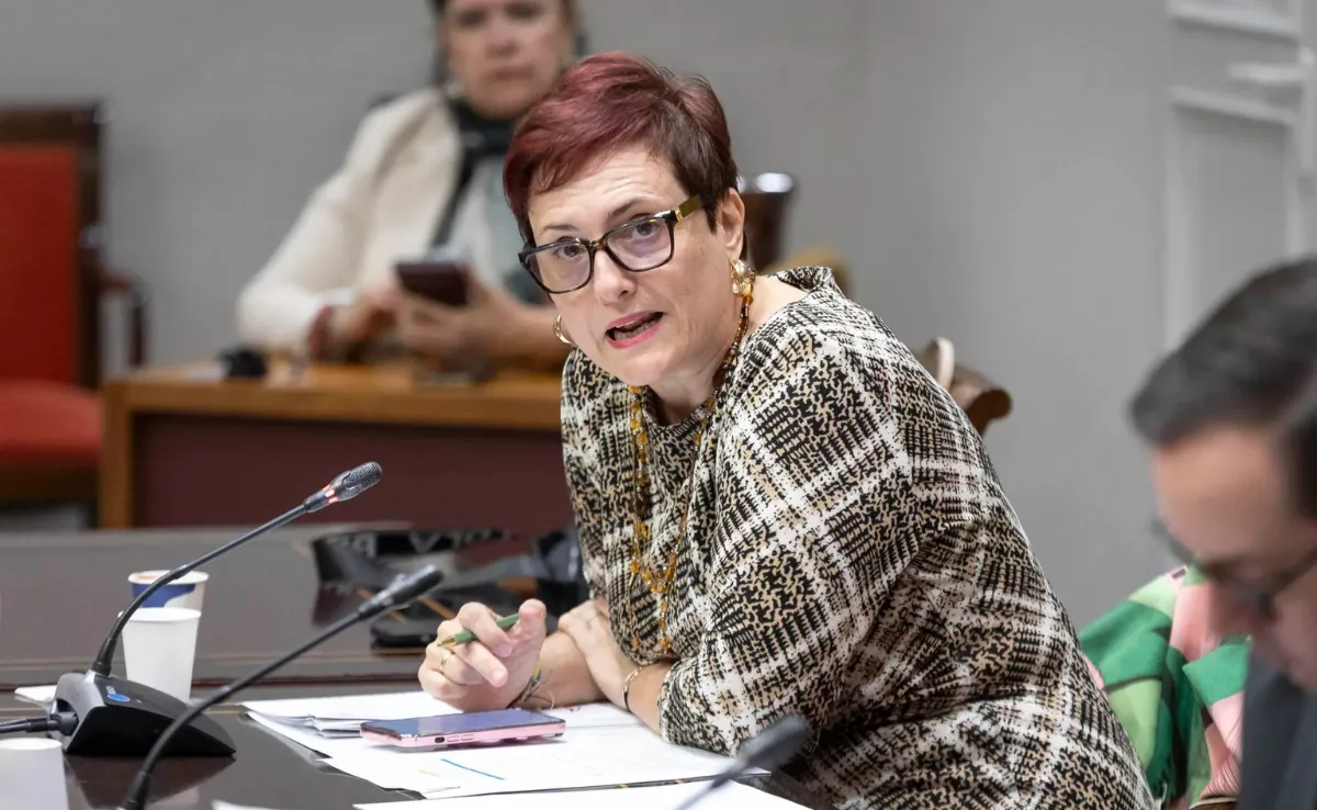 Candelaria Delgado, consejera de Bienestar Social / EFE