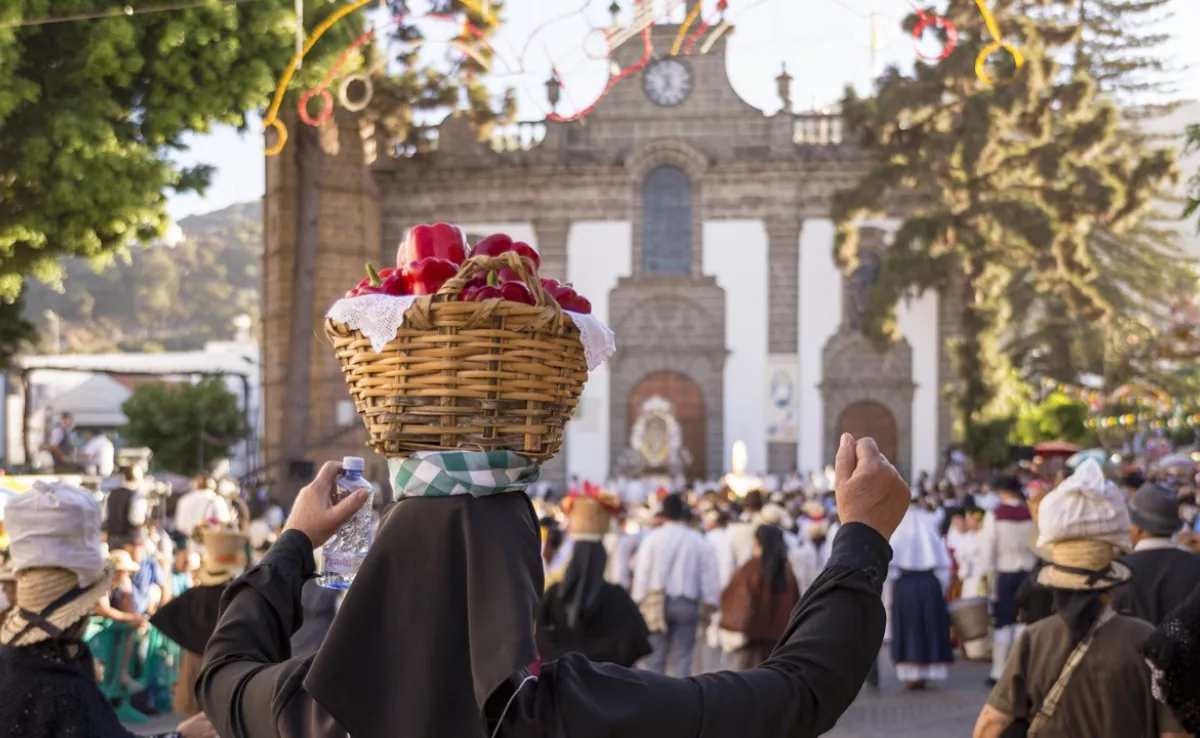 Imagen de las Fiestas del Pino / AYUNTAMIENTO DE TEROR