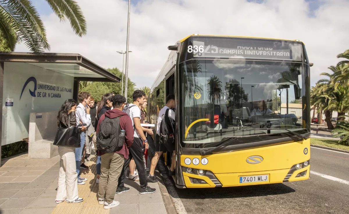 Imagen de una parada de Guaguas Municipales / GUAGUAS MUNICIPALES