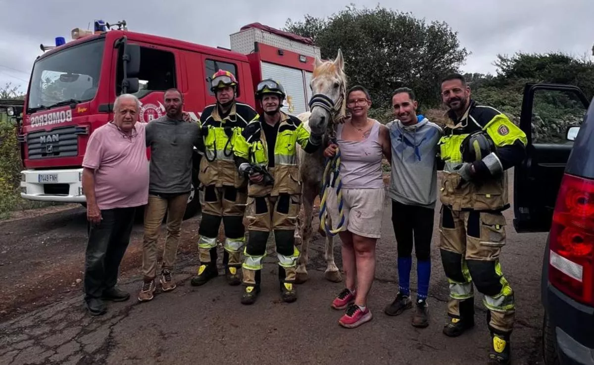 Caballo rescatado por bomberos en La Laguna. /Cedida