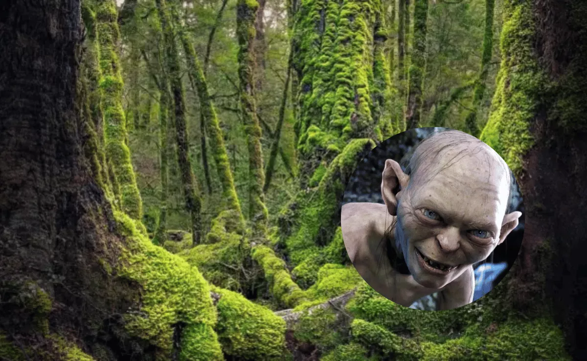 Este lugar de Tenerife parece sacado de una película de El Señor de los Anillos / AH