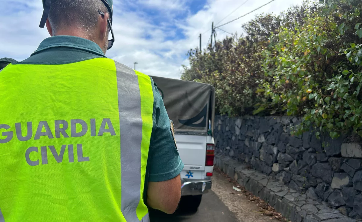 Un agente de la Guardia Civil durante los controles / GOBIERNO DE CANARIAS