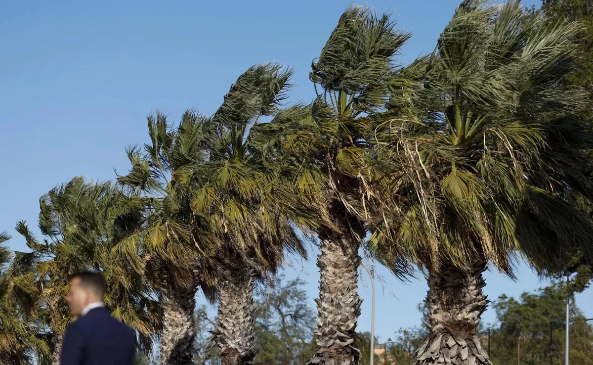 Imagen de viento en Canarias / EFE