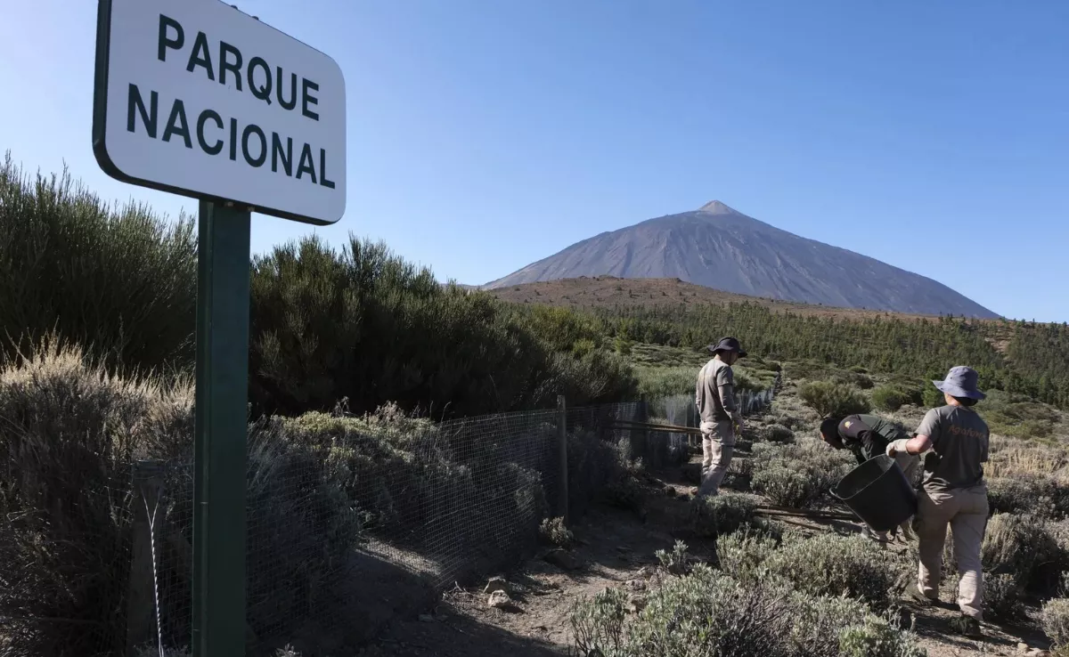 Imagen del Parque Nacional del Teide, en la isla de Tenerife / EFE