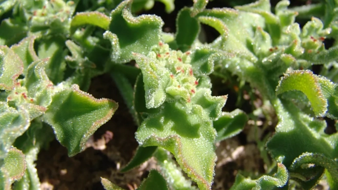 Diseño sin título 2025 09 01T100919.506