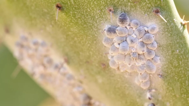 Diseño sin título 2025 09 01T104150.575