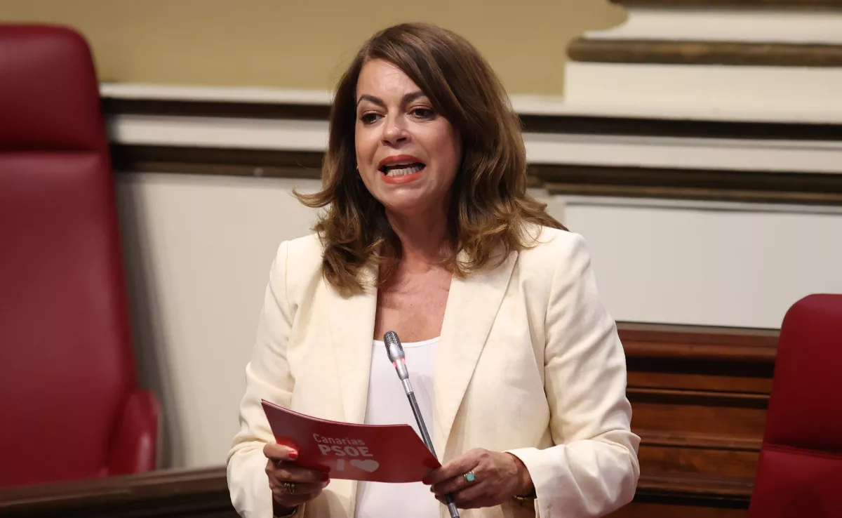 Tamara Raya, secretaria general del PSOE en Tenerife./ CEDIDA