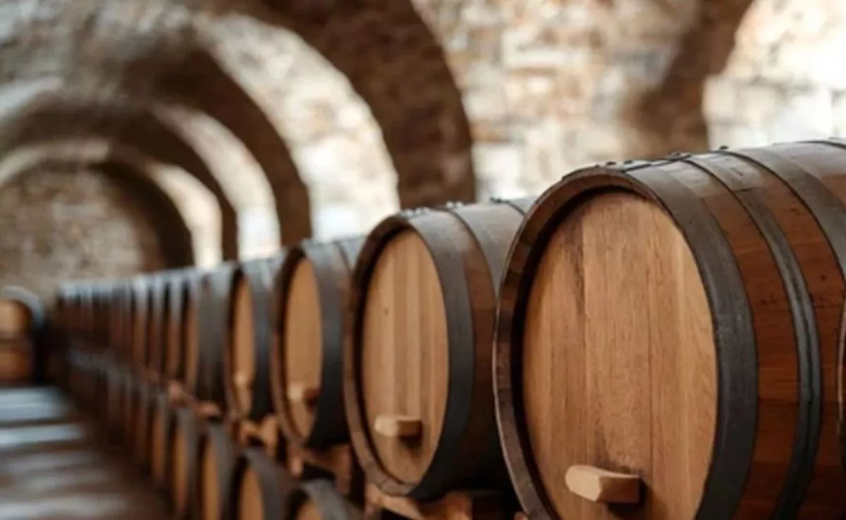 Cubas en una bodega. /Instituto de Coordenadas
