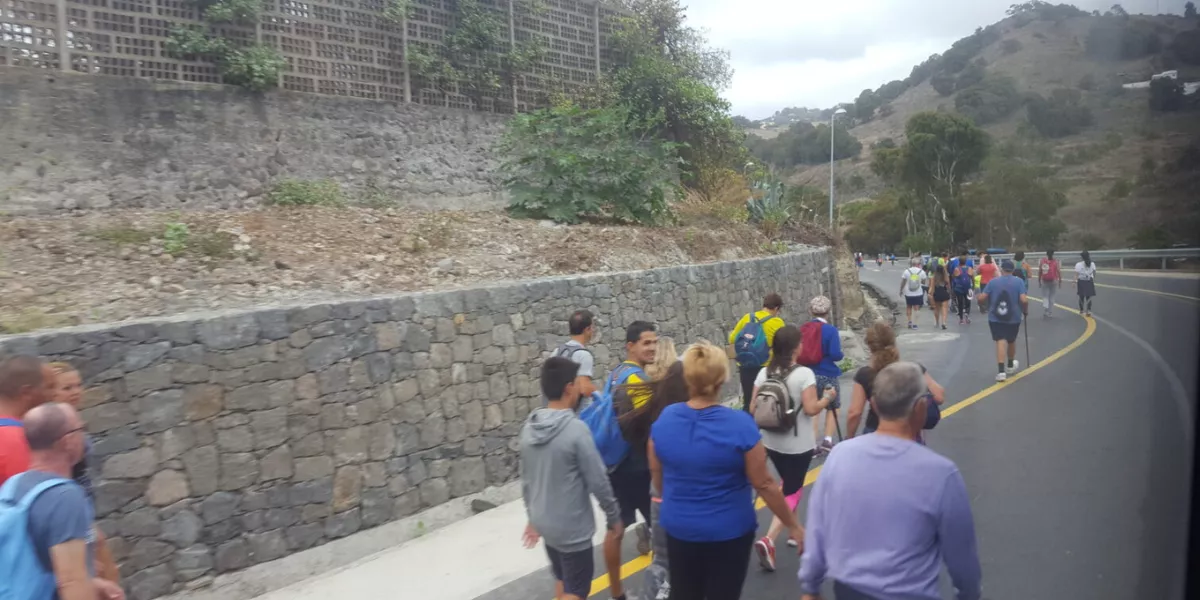 Imagen de peregrinos hacia la Fiesta del Pino de Teror / AYUNTAMIENTO DE TEROR