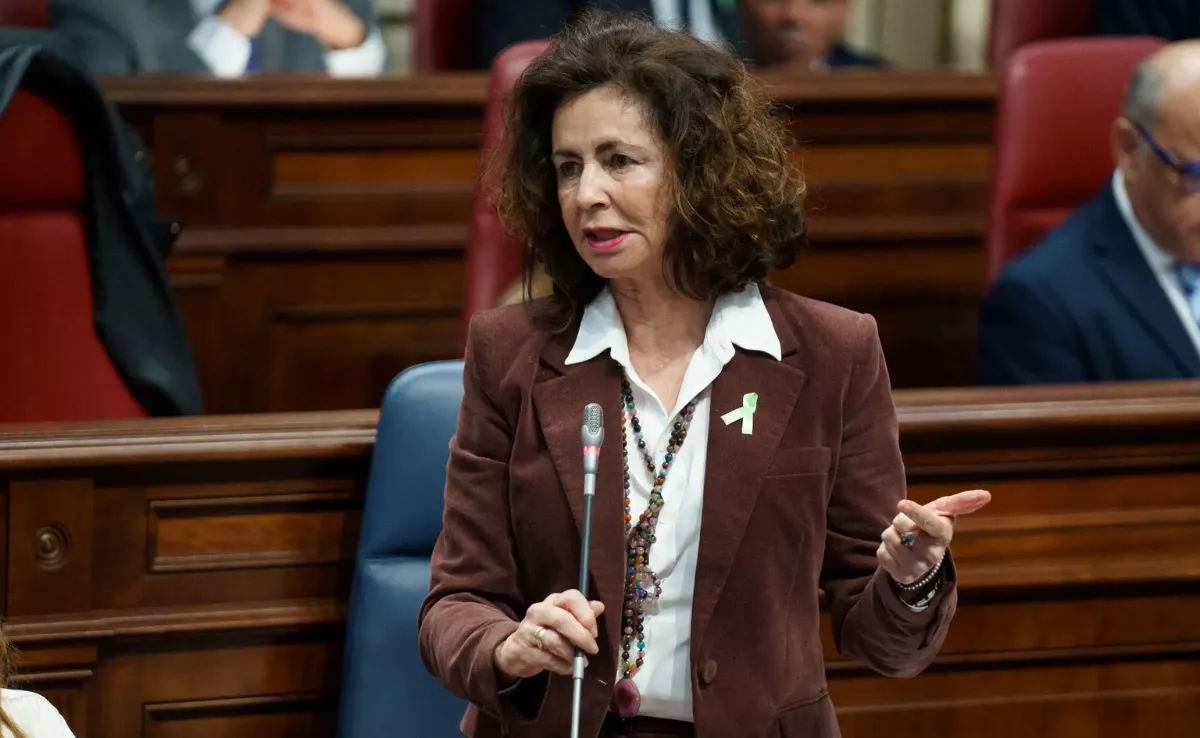 Matilde Asián, consejera de Hacienda del Gobierno de Canarias / EFE