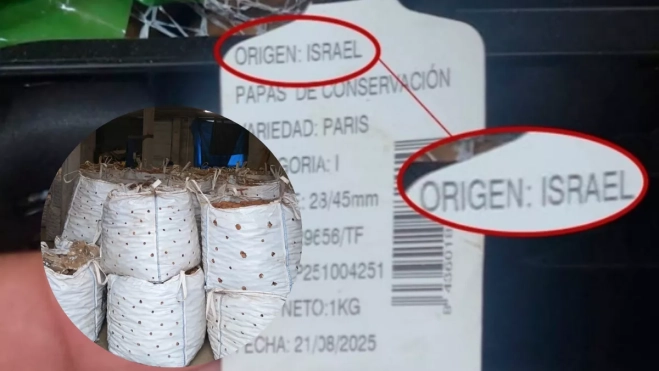 Papas de Israel vendidas en Canarias y sacos de papas de Tenerife amontonados en una nave./ MONTAJE AH Papas de Israel vendidas en Canarias y sacos de papas de Tenerife amontonados en una nave./ MONTAJE AH